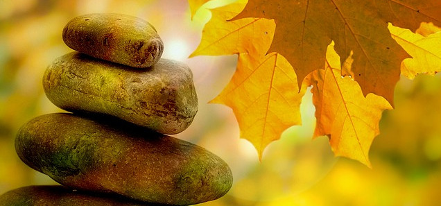 Zirbeldrüse aktivieren