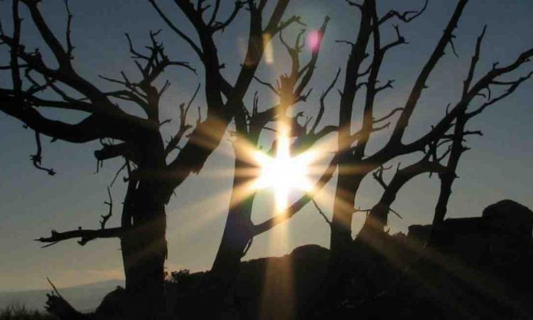 Gott erleben